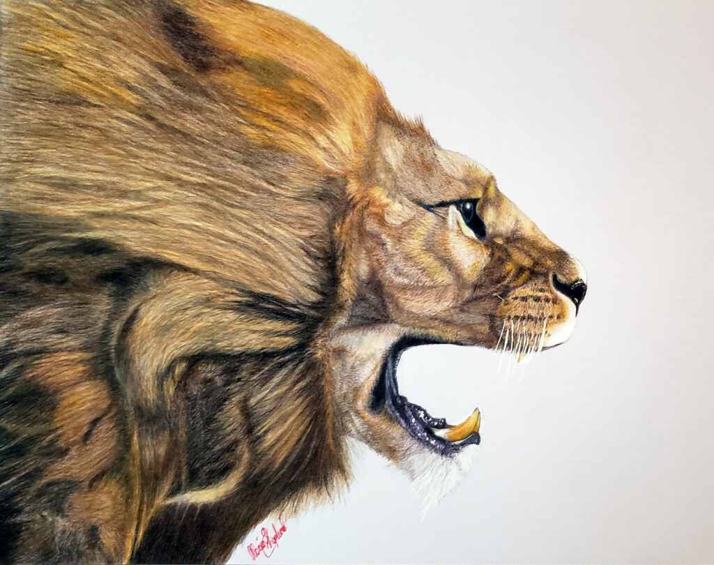 The Lion of Judah, original traditional media art of colored pencil of mat board.  Given as a gift to Pastor Chris.